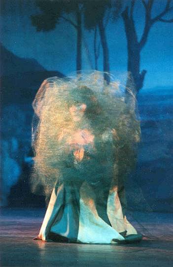 La folle sous le voile