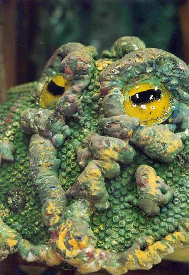 Le crapaud