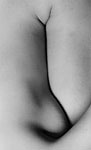 Carmilla - Abstraction