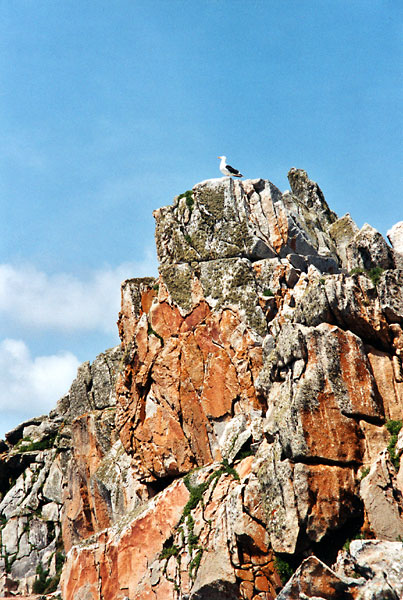 La vigie