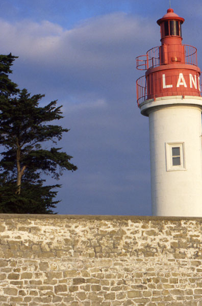 Arbre et phare