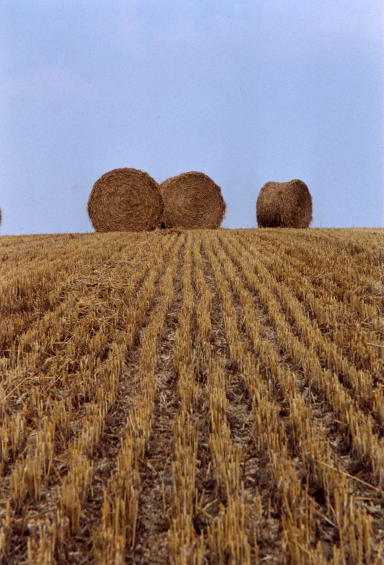 Sillons