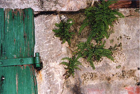 Etable (détail)